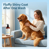 Champú profesional Golden Tulip Scent 6 en 1 para perros dorados para iluminar el pelaje dorado y aumentar el brillo del pelaje